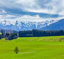 tysk idyllisk pastoral landsbygden i vår med alps i backg foto