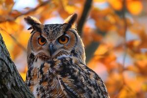 ai genererad eurasian Örn uggla bubo bubo Sammanträde på en gren i de höst skog. skön Uggla. foto