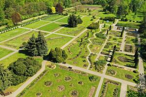 topp se av de vår minsk botanisk trädgård. Vitryssland foto