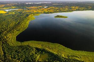 topp se av sjö drivyaty i de skog i de braslav sjöar nationell parkera på solnedgång, de mest skön platser i de stad av belarus.an ö i de lake.vitryssland. foto