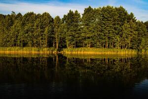 topp se av bolta sjö i de skog i de braslav sjöar nationell parkera på gryning, de mest skön platser i belarus.an ö i de lake.vitryssland. foto