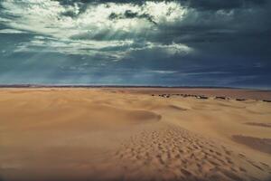 en panorama- sand dyn nära de öken- läger på mhamid el ghizlane i marocko foto