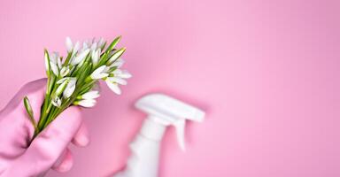 vår vår allmän rengöring begrepp. vår blommor i hand och rengöringsmedel på en rosa bakgrund. topp se. baner. kopia Plats. foto