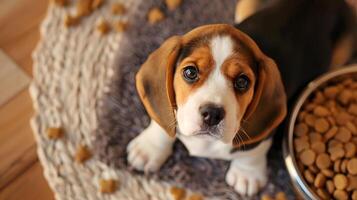 ai genererad en små söt beagle valp nära en skål av mat. ai genererad foto