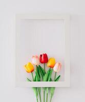 vår sammansättning tillverkad med färgrik tulpan blommor anordnad i ram på vit bakgrund med kopia Plats. minimal begrepp och enkelhet. trendig vår blommor aning. natur platt lägga. foto