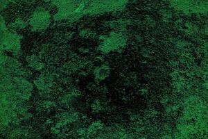 grön svamp bakgrund och textur foto