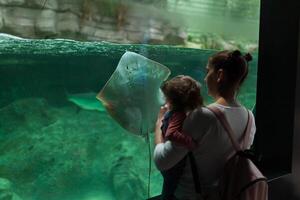 Brest, Frankrike 31 Maj 2018 mamma och hans liten dotter är ser på hav fisk och djur i de akvarium av de oceanopolis foto