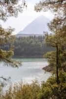 se från tall träd på sjö med rena vatten och omgivande skön bergen i solig dag. doyran damm, antalya, Kalkon. foto