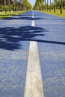 två lanes cykel eller cykel väg eller väg i de parkera från jord nivå. foto