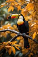 ai genererad toucan på gren i mörk och orange toner foto