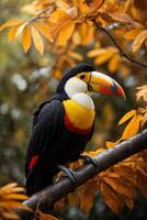 ai genererad toucan på gren i mörk och orange toner foto