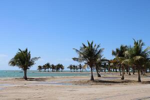 skön dagtid se av kunglig provision strand i yanbu, saudi arabien. foto