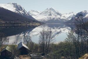 norska landskap med snö och träd foto