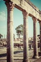 ruiner roman capitol thuburbo majus, tunisien foto