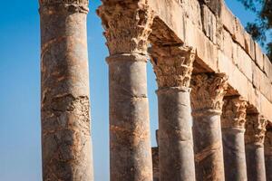 ruiner roman capitol thuburbo majus, tunisien foto