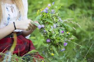 krans för de Semester kupala. händer väva en krans av vild blommor och örter. foto