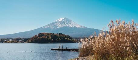 montera fuji med äng fält på sjö kawaguchi. mt fujisan på oishi parkera, yamanashi, japan. landmärke för turister attraktion. japan resa, destination, semester och montera fuji dag begrepp foto