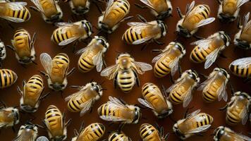 ai genererad europeisk honung bin apis mellifera på vit bakgrund foto