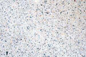 terrazzo, mångsidig sten textur för eleganta bakgrunder på golv och väggar. foto