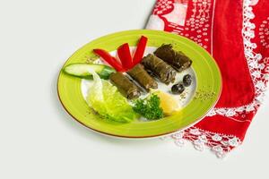 yaprak sarma med sallad i en maträtt isolerat på färgrik tabell trasa topp se på grå bakgrund foto