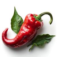 ai genererad röd varm chili peppar isolerat på vit bakgrund med skugga. chili peppar isolerat. röd varm chili paprikor topp se foto