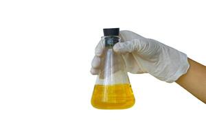 isolerat vetenskapsmannens hand innehav ett erlenmeyer flaska som innehåller en gul lösning på en vit bakgrund. foto