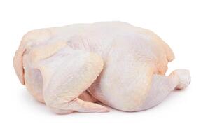 rå färsk kyckling foto