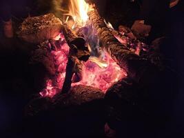 lågor av en sten grop brand på natt i mörk bakgrund på en campingplats stat parkera i Washington stat foto