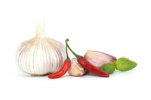 allmänning kulinariska Ingredienser örter och kryddor på vit foto