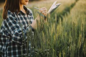 smart odla. jordbrukare med läsplatta i de fält. lantbruk, trädgårdsarbete eller ekologi begrepp. skörd. agro företag. foto