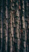 ai genererad ämne träd bark textur bakgrund, naturlig yta mönster, stänga upp Foto vertikal mobil tapet