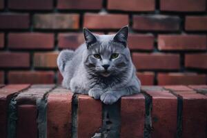 ai genererad grå katt åtnjuter en fredlig ögonblick atop rustik tegel yta foto