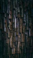 ai genererad textur av träd trunk och bark, naturlig trä mönster Foto vertikal mobil tapet