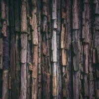 ai genererad träd skäller grov yta textur lägger till naturlig element till bakgrund för social media posta storlek foto