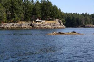 solsken kust, väst kust, pacific kust, brittiskt columbia, kanada foto