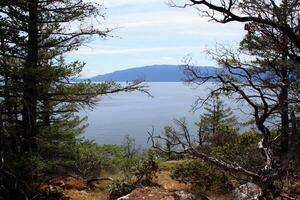 solsken kust, väst kust, pacific kust, brittiskt columbia, kanada foto