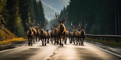 ai genererad där är massa av älg på de väg. bevarande av vild djur. säker körning. generativ ai foto