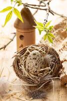 påsk bo med vaktel ägg, sugrör, fjädrar, dekorativ fågelholk, kvistar med vår löv på trä. foto