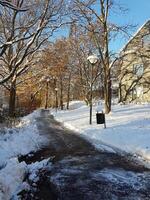 vinter- på de utkant av stockholm foto