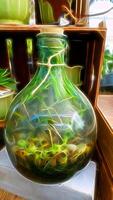digital målning stil den där representerar en stor flaska med växter inuti foto