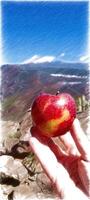 en mogen äpple på de fingrar av ett hand med de landskap i de bakgrund. foto