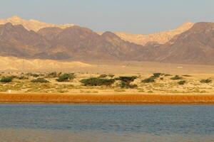 timna berg räckvidd i eilat i sydlig israel. foto