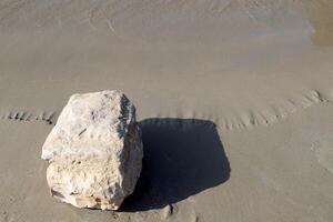 stenar och skal på de Strand av de medelhavs hav. foto