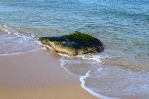 stenar och skal på de Strand av de medelhavs hav. foto
