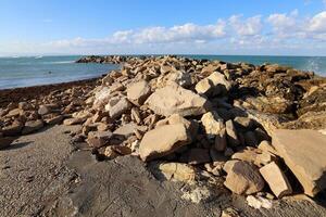 stenar och skal på de Strand av de medelhavs hav. foto