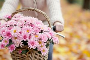 kvinna är ridning cykel med korg av rosa krysant cykel korg med blommor och hatt foto