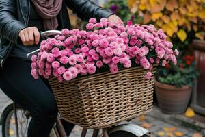 kvinna är ridning cykel med korg av rosa krysant cykel korg med blommor och hatt foto