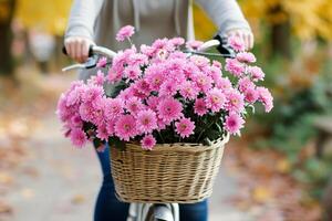 kvinna är ridning cykel med korg av rosa krysant cykel korg med blommor och hatt foto