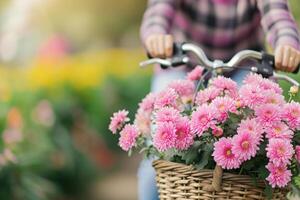 kvinna är ridning cykel med korg av rosa krysant cykel korg med blommor och hatt foto