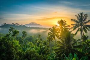 Foto soluppgång över bali djungel